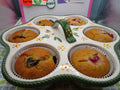 Sugar Free Muffins, Low Fat, Gluten Free, Dairy Free, Egg Free, Vegan, Nut Free, Organic Fruit, Allulose, Low Calorie, Graduation Brunch,