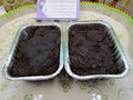 High Protein Chocolate Pudding Cake, Gluten Free, Dairy Free, Nut Free, Vegan, Allergy Friendly Bakery, Fitness Gifts, Low Carb, Low Sugar
